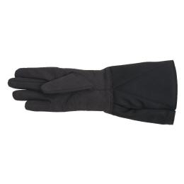 FECHTMEISTERHANDSCHUH